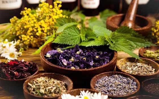 fitoterapia farmacia cantón